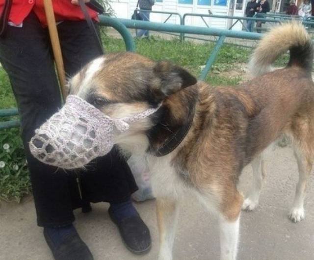 Strange Photos From Russia (40 pics)