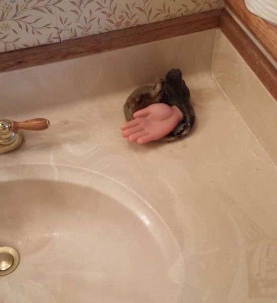 What Is Going On Here? (43 pics)