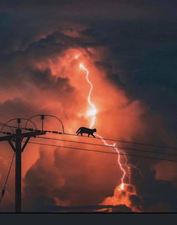 Amazing Photos From Around The World (27 pics)