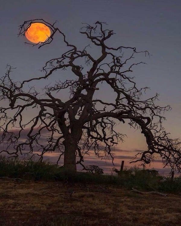 Amazing Photos From Around The World (27 pics)