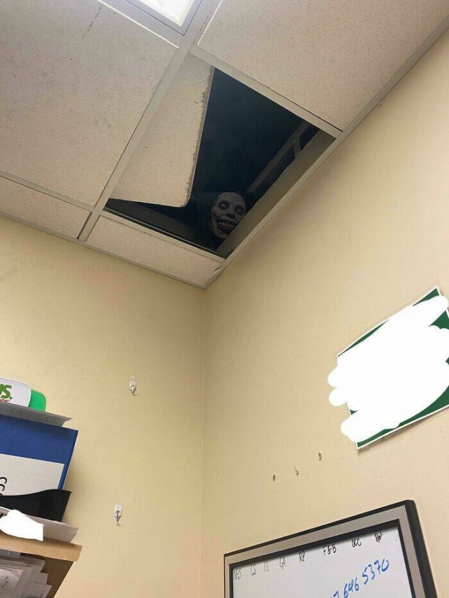 Funny Situations On The Workplace (24 pics)