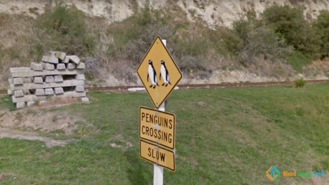 Unusual Finds On Google Maps (28 pics)