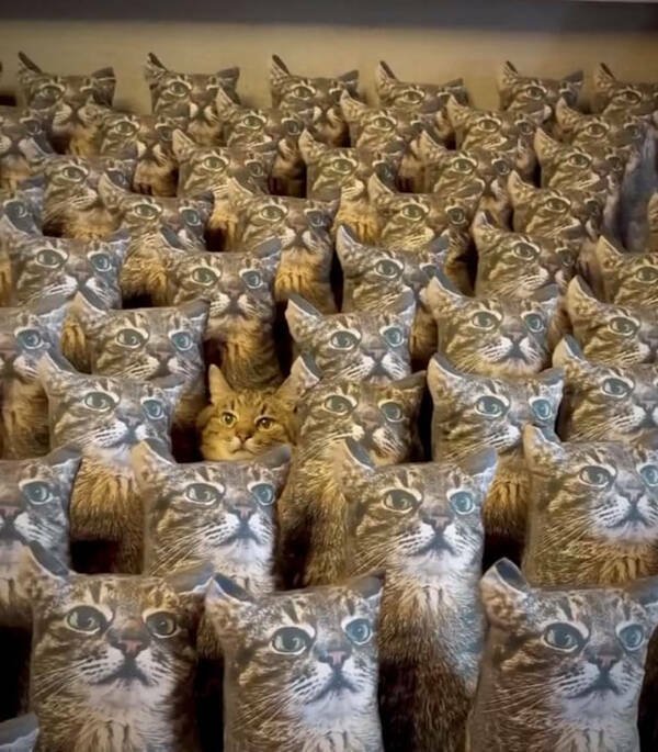 Amazing Photos From Around The World (27 pics)