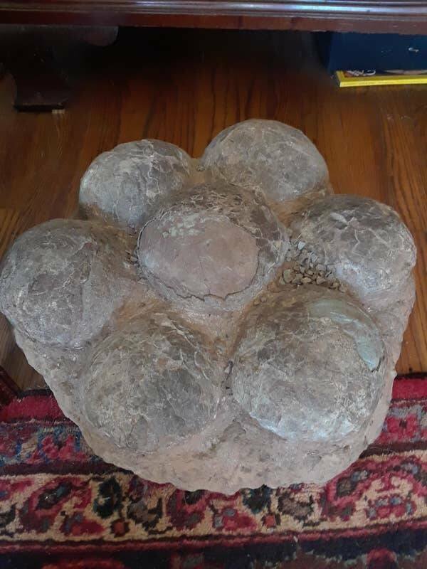 Interesting Finds And Facts (20 pics) Interesting Finds And Facts (20 pics)