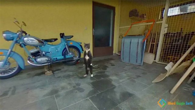 Unusual Finds On Google Maps (28 pics)