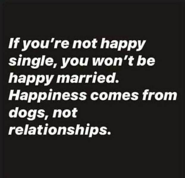Truthful Memes (24 pics)