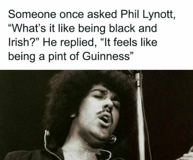 Funny Finds From Ireland (22 pics)