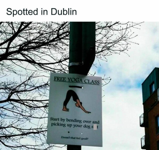 Funny Finds From Ireland (22 pics)