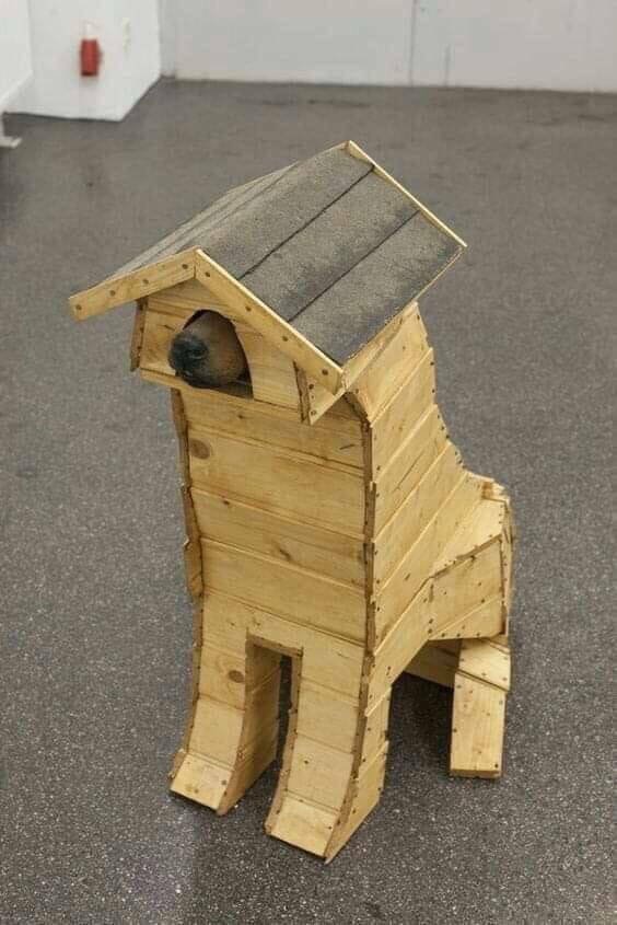 Funny Dogs (26 pics)
