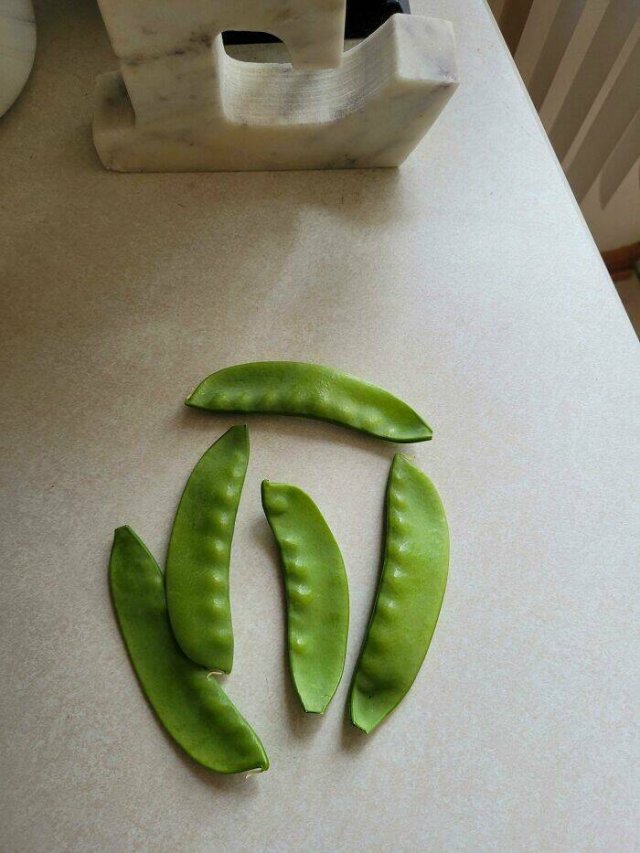Failed Harvest (25 pics)