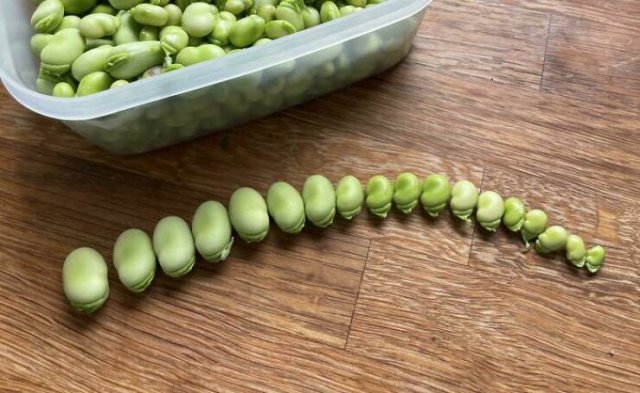 Failed Harvest (25 pics)