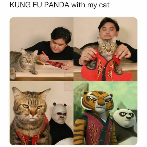 Funny Memes (24 pics)