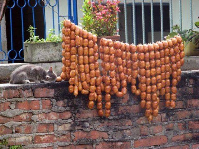 Cats Thieves (27 pics)