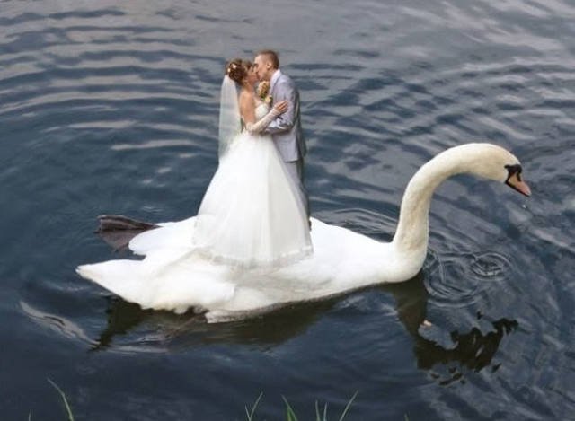 Horrible Russian Weddings (56 pics)