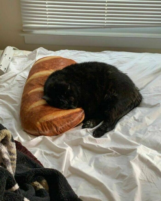 Baguettes In Unexpected Locations (20 pics)