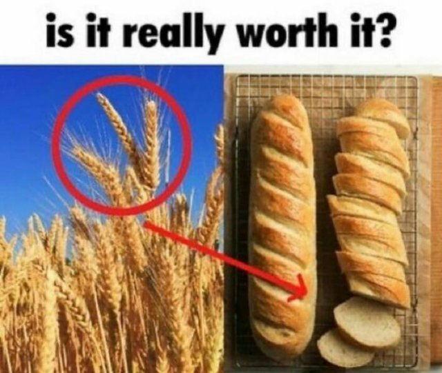 Baguettes In Unexpected Locations (20 pics)