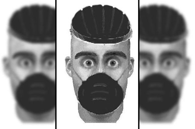 Terrible Identikits (18 pics)