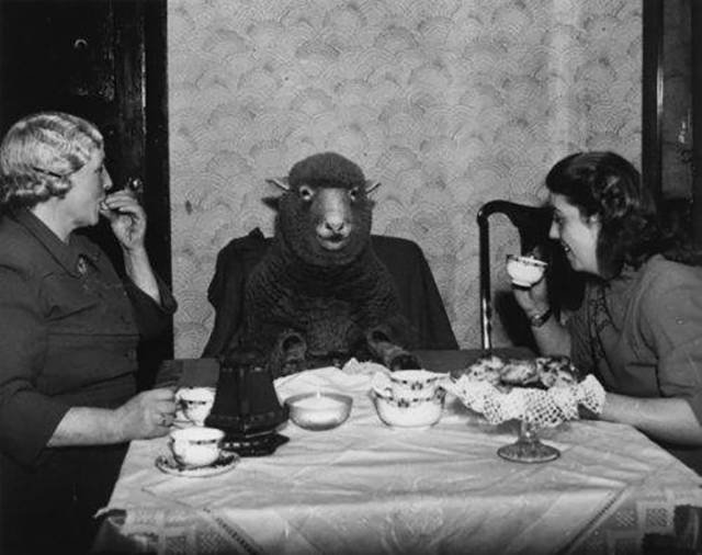 Odd Vintage Photos (26 pics)