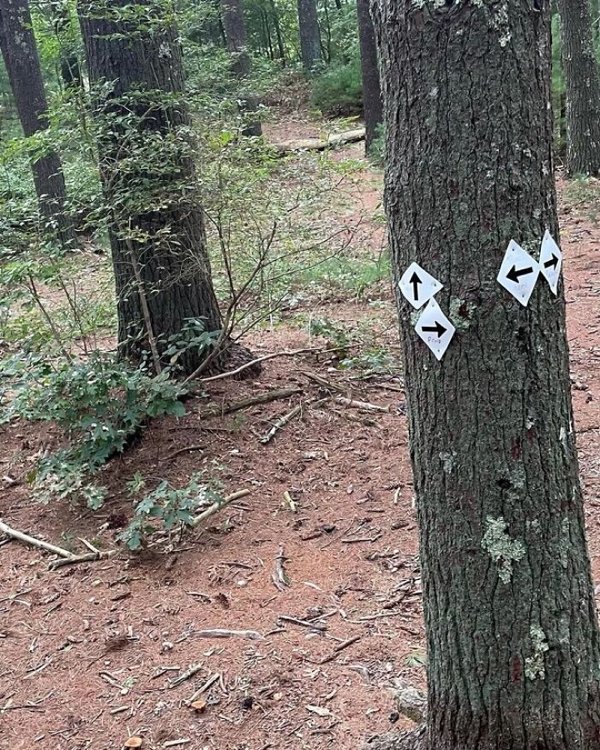 Funny Signs (30 pics)