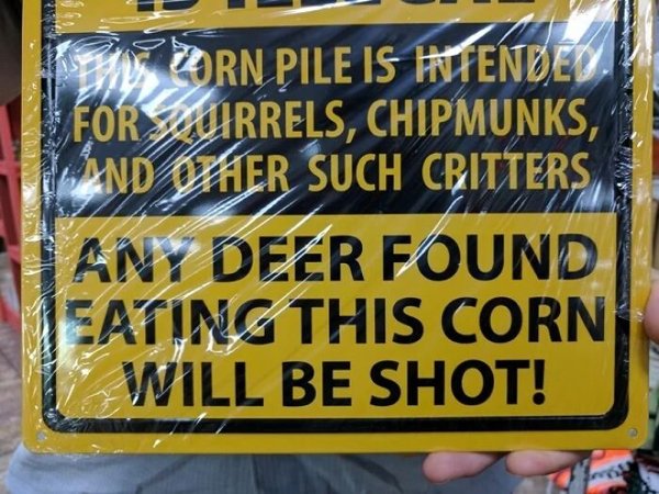 Funny Signs (30 pics)