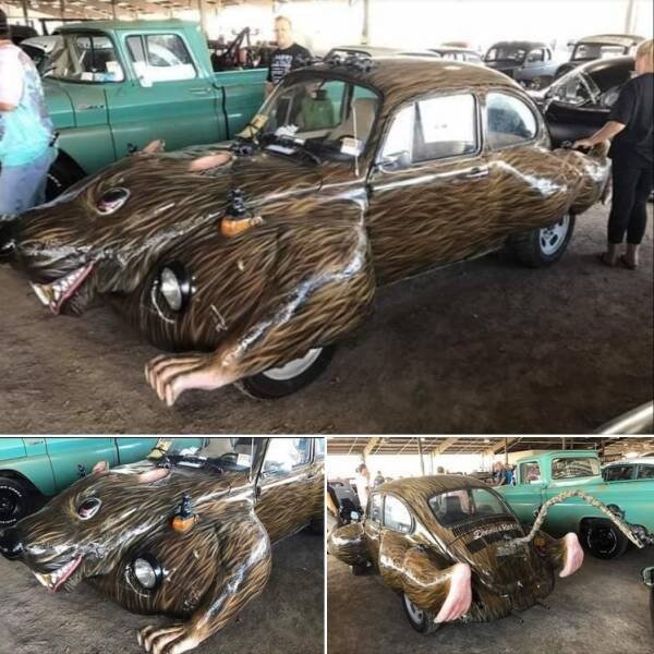 Crazy Cars (41 pics)