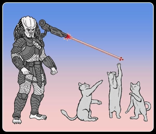 Funny Cats (30 pics)