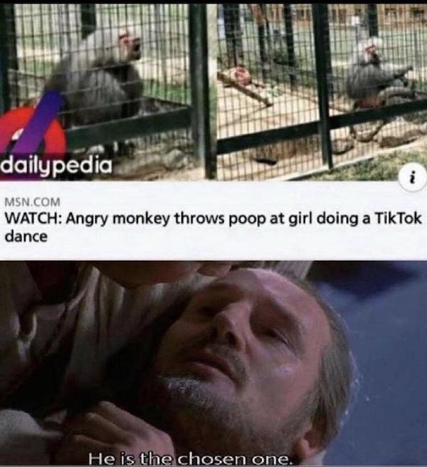 Funny Memes (26 pics)