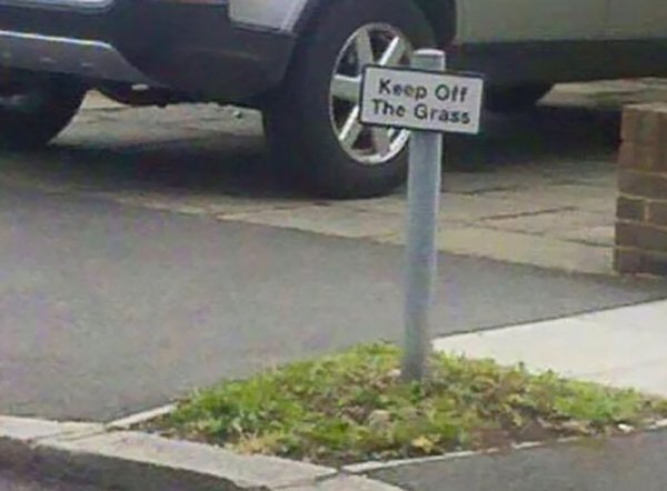 Funny Signs (30 pics)