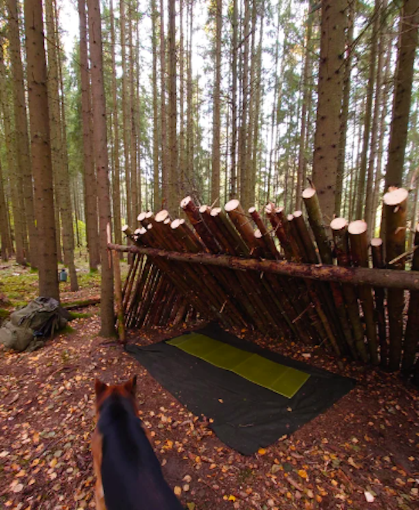 Amazing Bushcraft (29 pics)