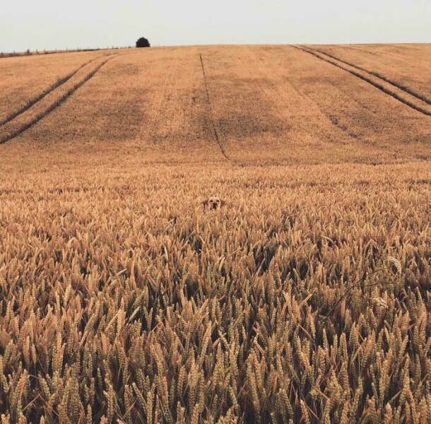 Different Photos From Around The World (24 pics)