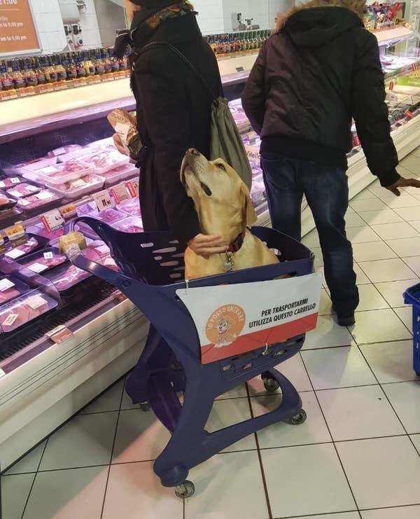 Cool Technologies In Different Countries (22 pics)