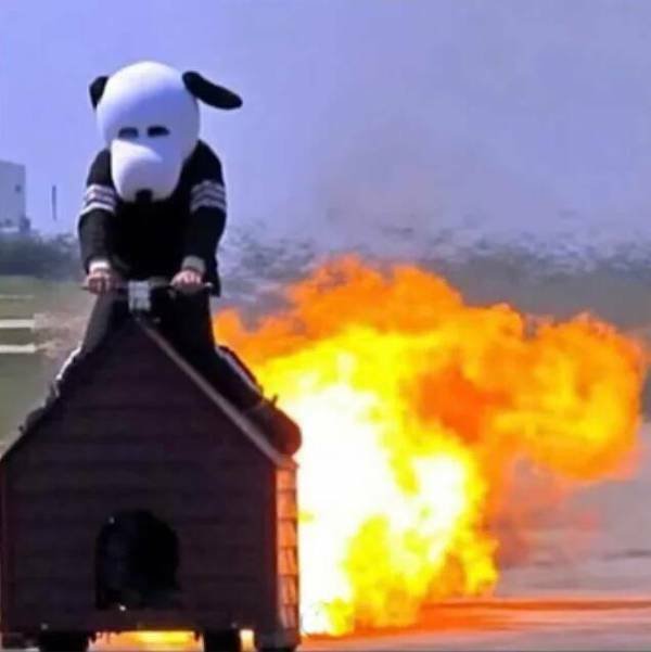 What Is Going On Here? (25 pics)