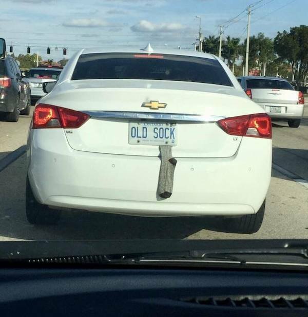What Is Going On Here? (25 pics)