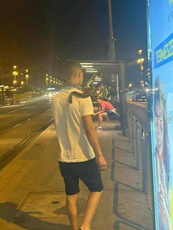 What Is Going On Here? (25 pics)