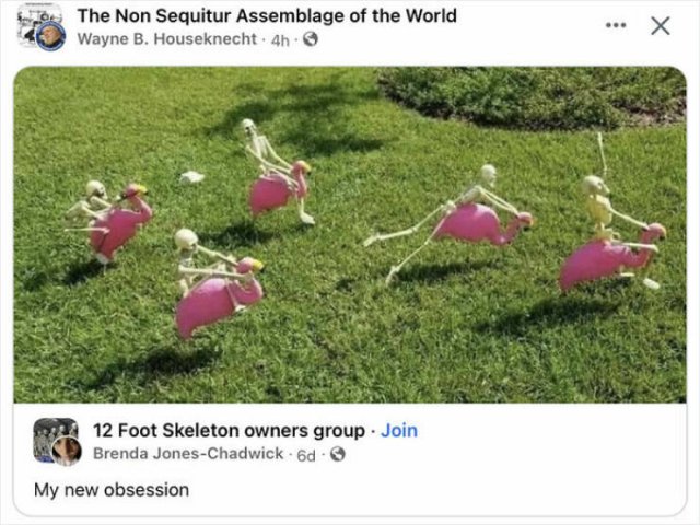 Weird Designs (25 pics)