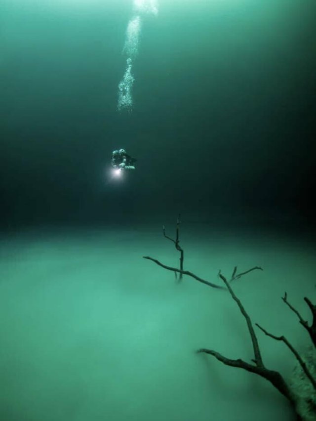 Unusual Finds And Situations (15 pics)