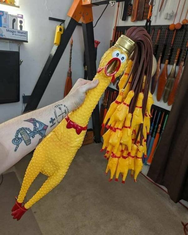 What Is Going On Here? (25 pics)