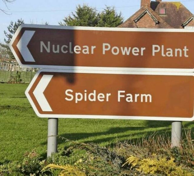 Funny Signs (25 pics)