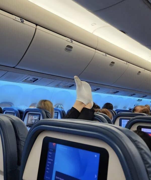 Annoying Passengers (16 pics)