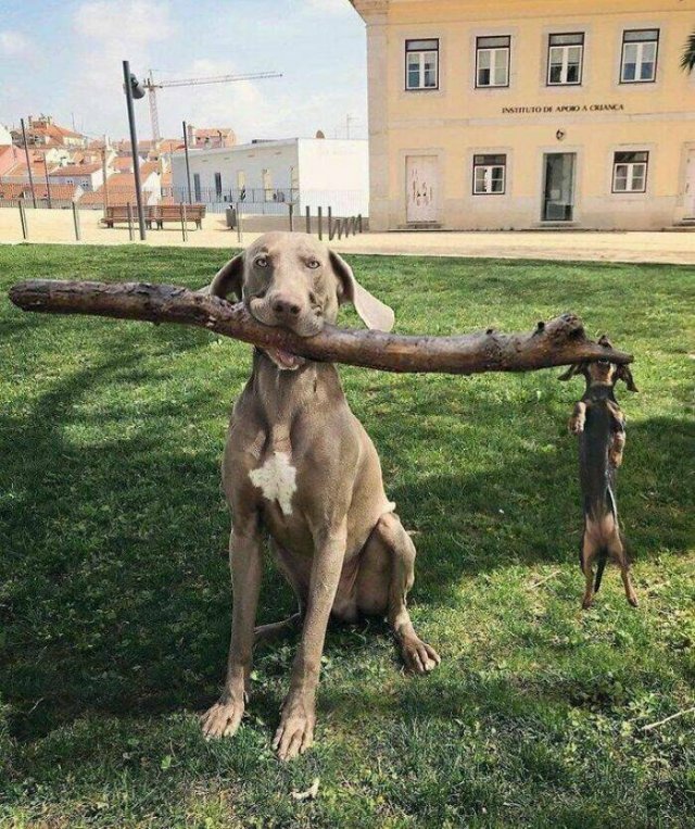 Different Photos From Around The World (24 pics)