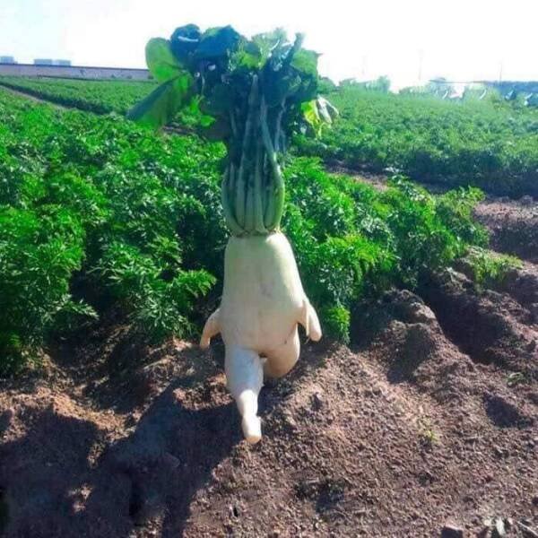 Different Photos From Around The World (24 pics)
