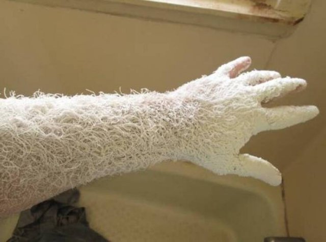 Unusual Finds And Situations (15 pics)