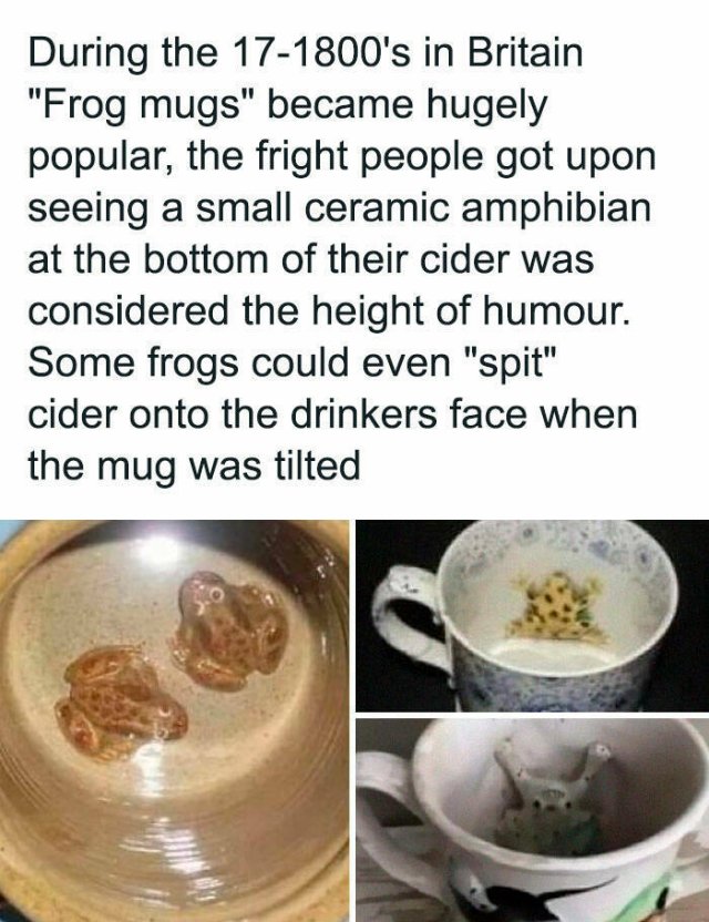 Weird Designs (25 pics)