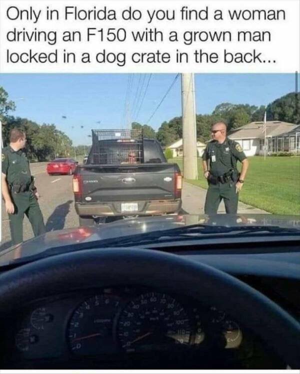 What Is Going On Here? (25 pics)