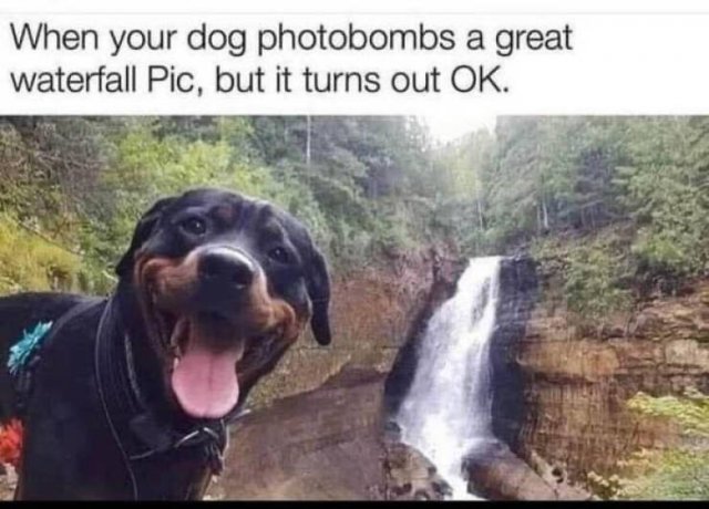 Life Is Beautiful (22 pics)