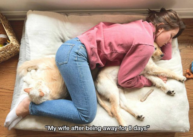 Life Is Beautiful (22 pics)