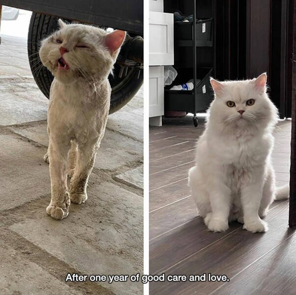 Life Is Beautiful (22 pics)