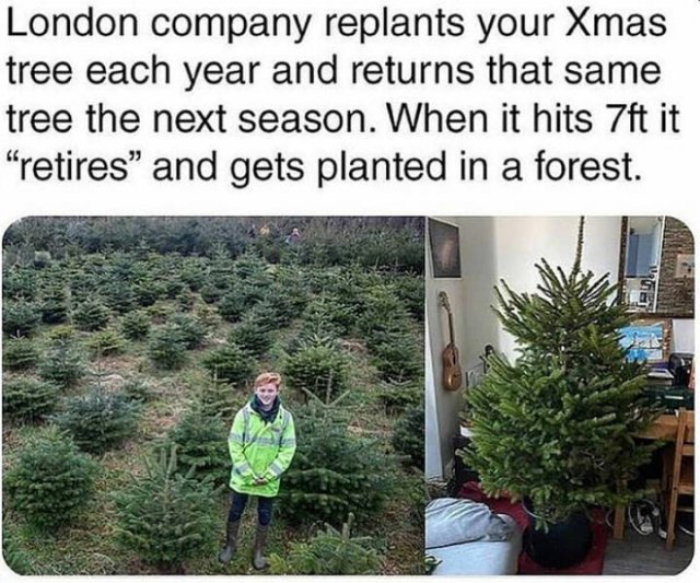 Life Is Beautiful (22 pics)