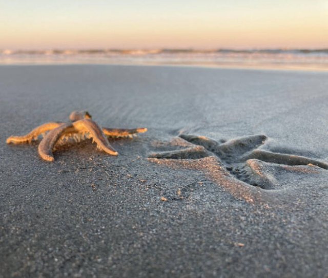 Unusual Finds On The Beaches (20 pics)