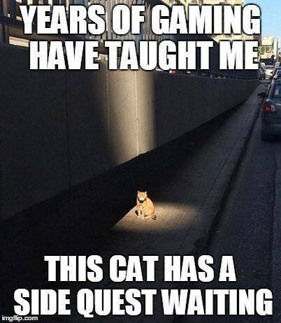 Memes For Gamers (24 pics)
